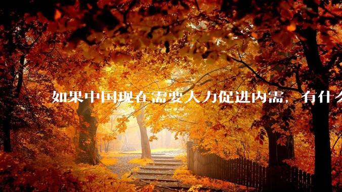 如果中国现在需要大力促进内需，有什么切实可行有效的方法？